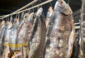 Рыба вяленая Сорожка по цене 350 руб./кг.